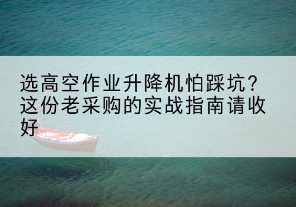 中站高空作业升降机厂家推荐-选高空作业升降机怕踩坑？这份老采购的实战指南请收好