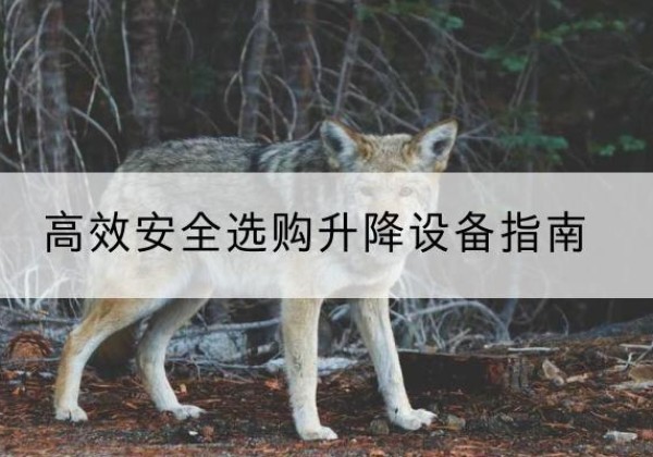 中站升降货梯厂家推荐-*安全选购升降设备指南