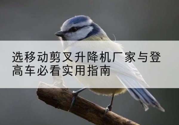 中站电动升降机厂家-选移动剪叉升降机厂家与登高车必看实用指南