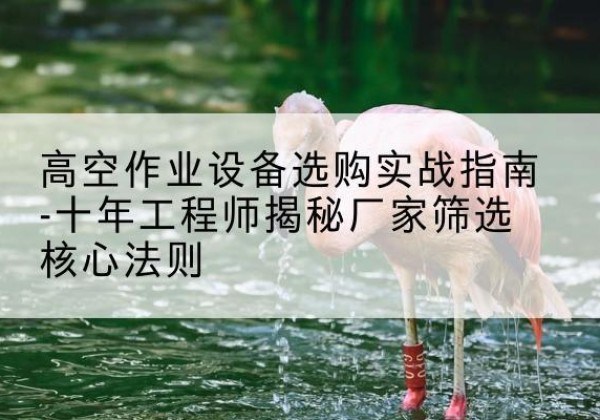 中站剪叉式升降机厂家-高空作业设备选购实战指南-十年工程师揭秘厂家筛选核心法则